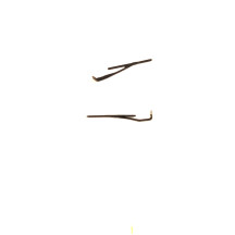 Set of two windshield wipers for 250 Renfe