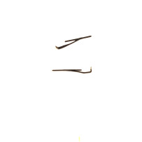 Set of two windshield wipers for 250 Renfe