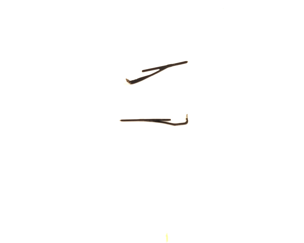 Set of two windshield wipers for 250 Renfe